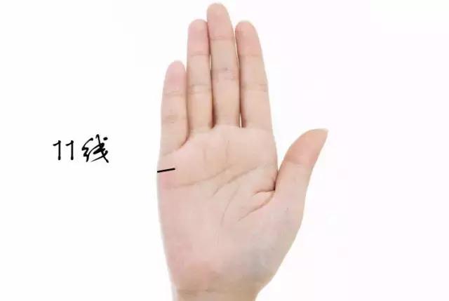 看看你的掌纹,看看你的手相