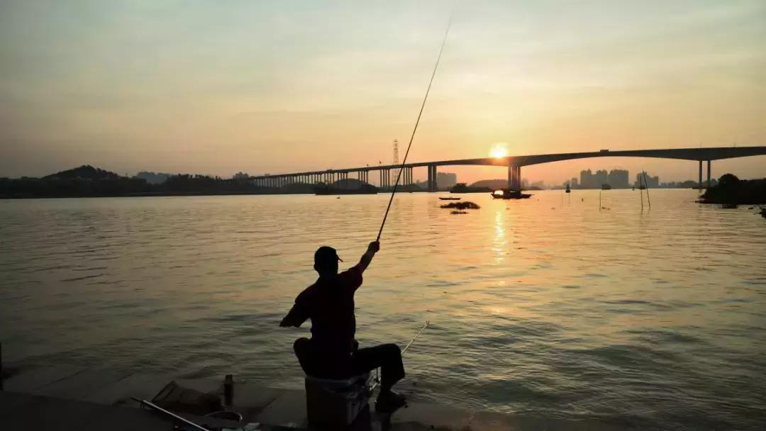 吴寒笛创业项目,吴寒笛简介