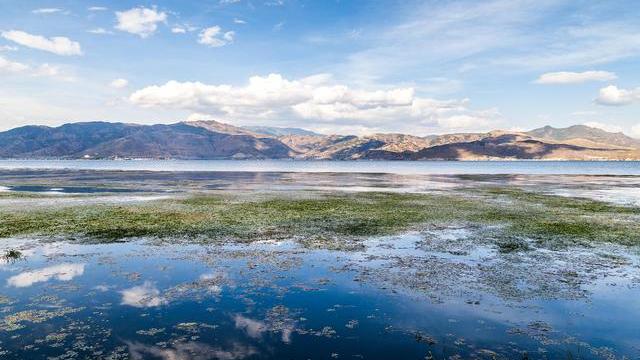 同事失恋了就能听到她有多难过,安慰失恋的同事