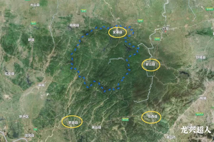 达州道地药材天麻,正宗中药材天麻