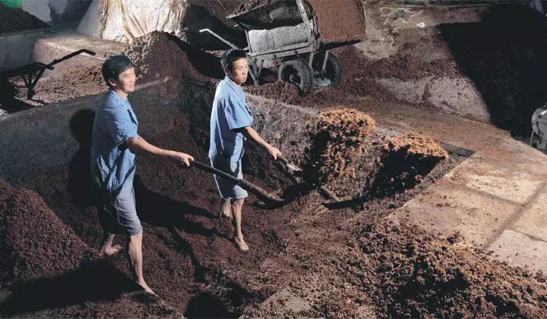 吃不起涪陵榨菜后续,吃不起榨菜完整版