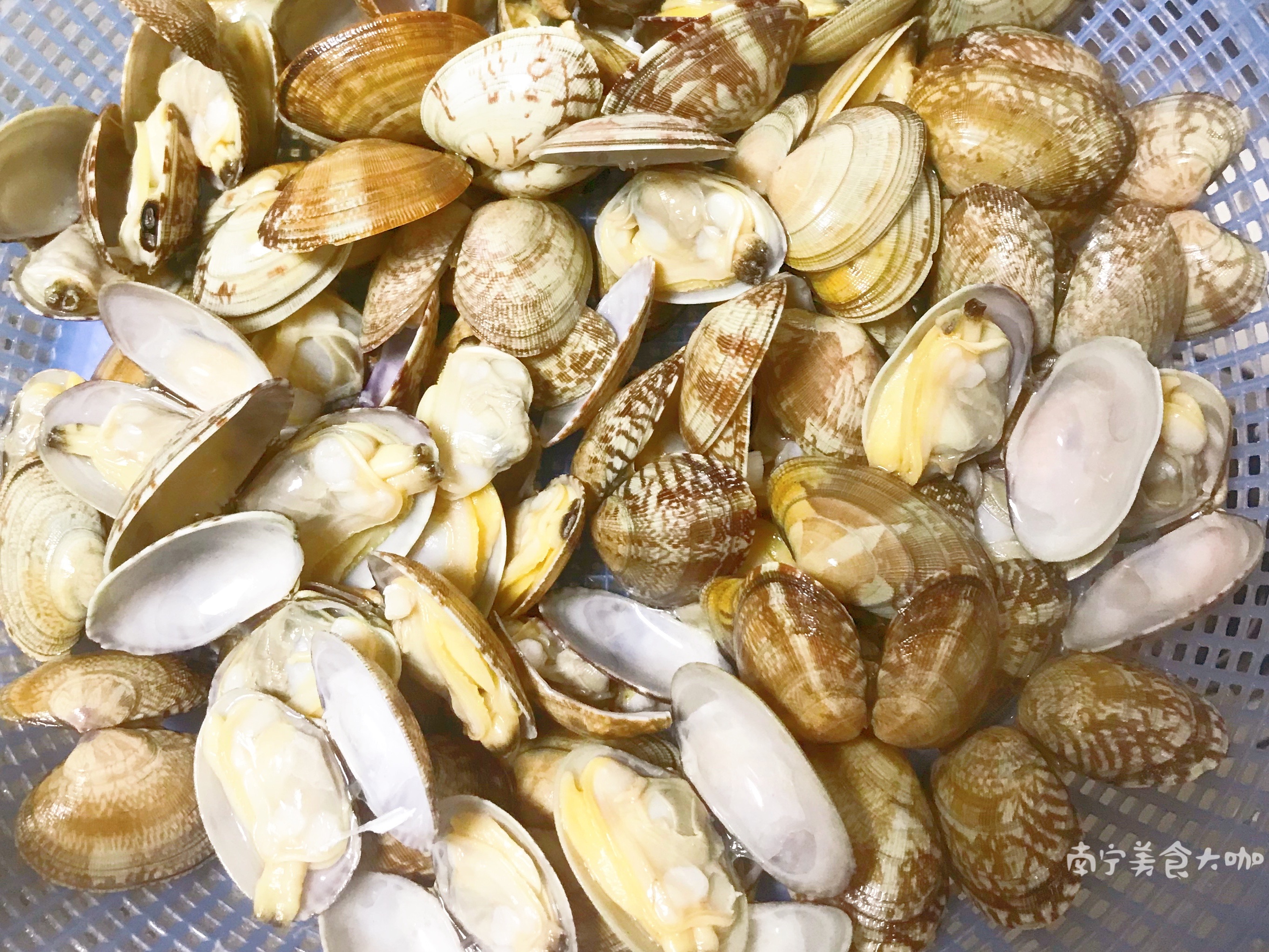 车螺怎么吐沙,怎样使白车螺快速吐沙