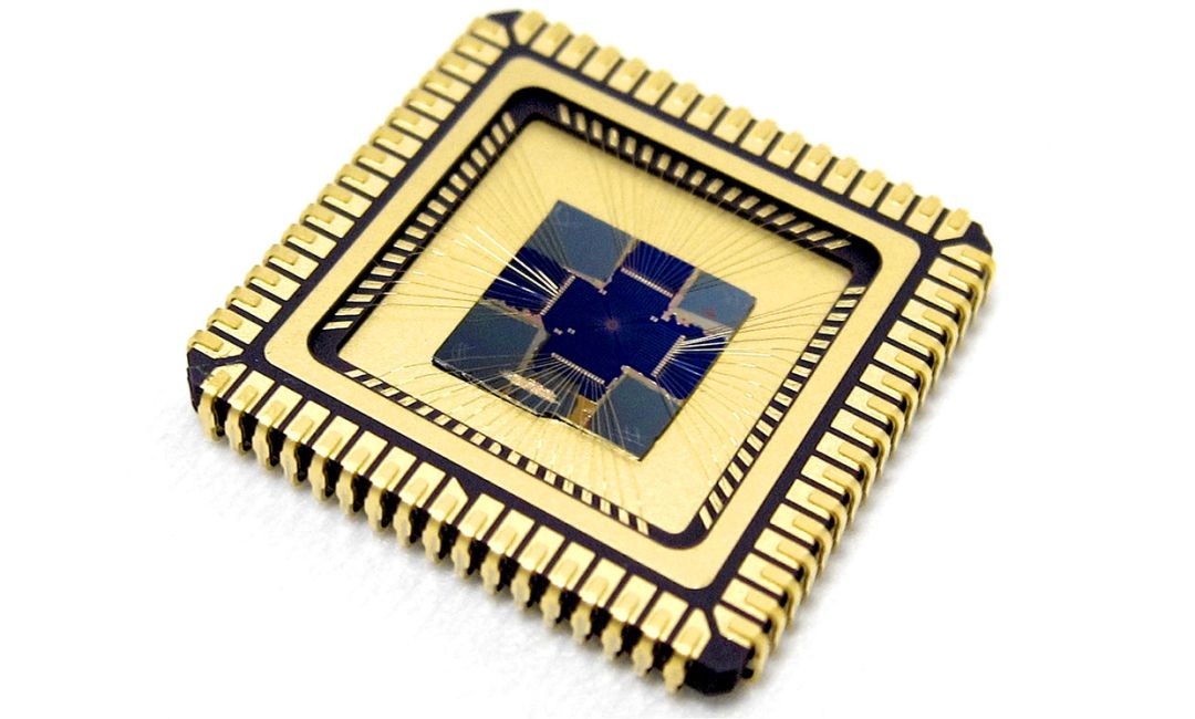 nature最新科研,nature最新研究证明