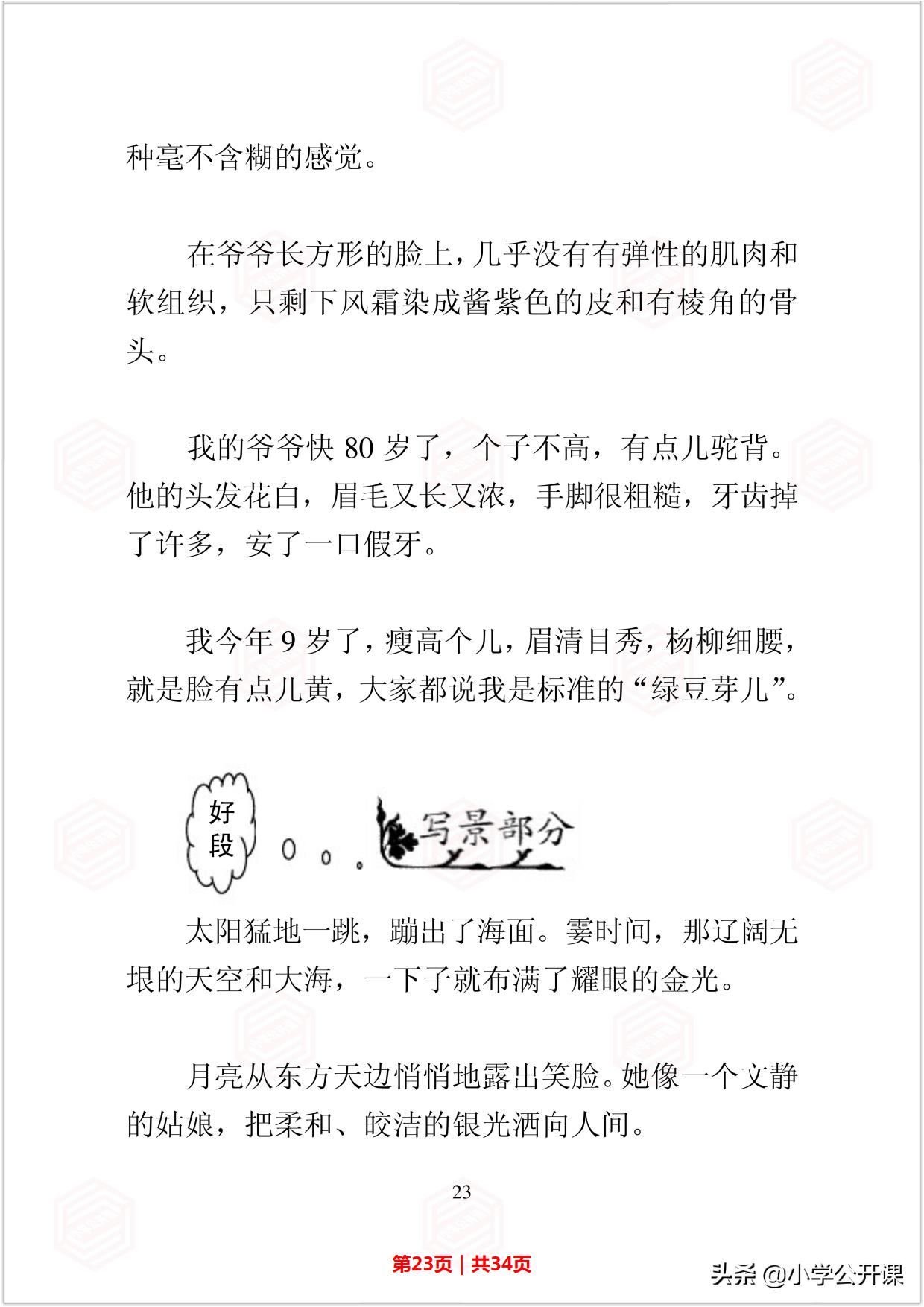 小学生作文好词好句好段摘抄大全,中小学生作文素材好词句积累