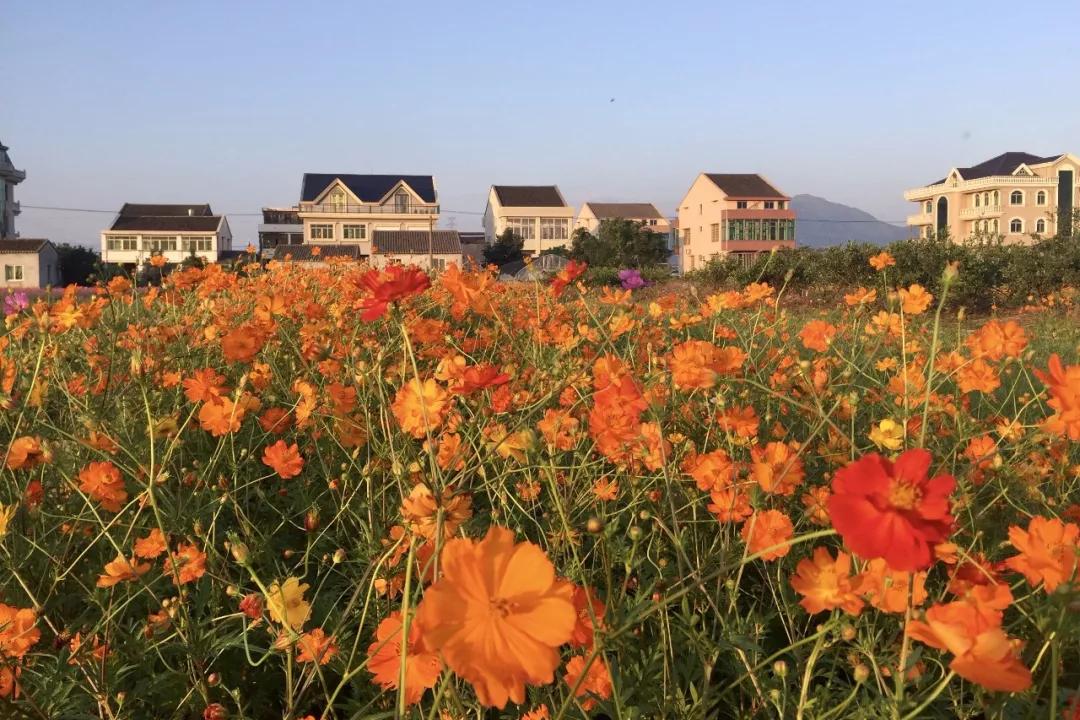 探店民宿普通房间,野风艺栈轰趴主题民宿