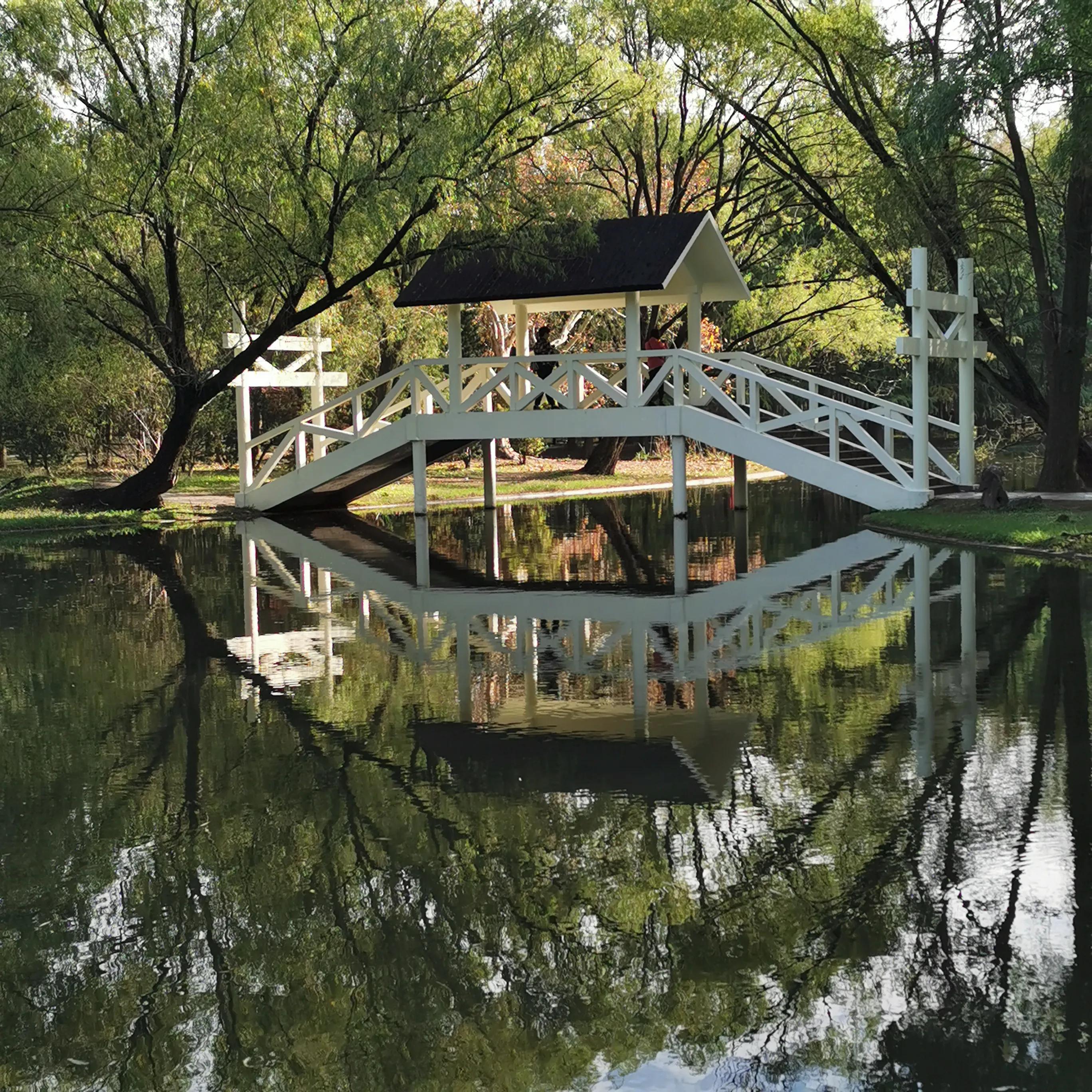 上海共青森林秋景,上海共青森林公园夜景