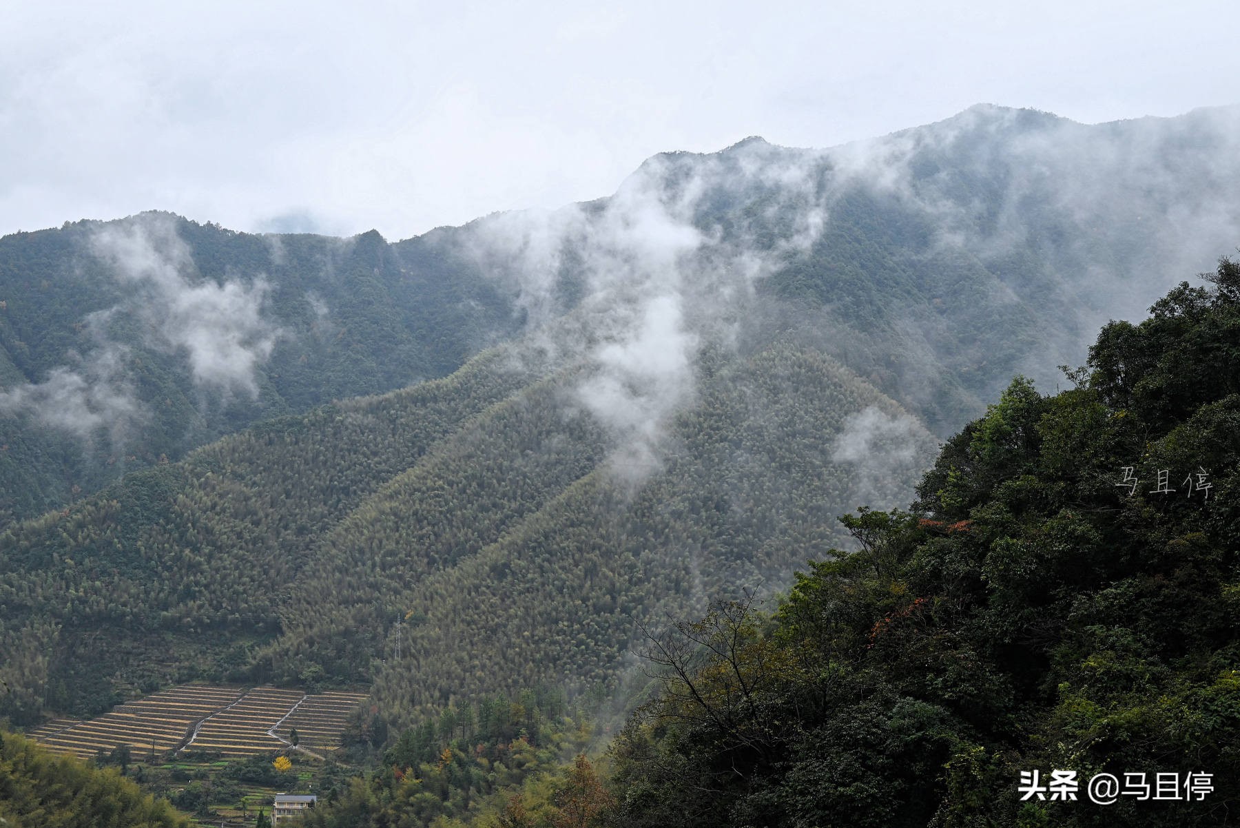 台州黄岩还有崛起的时候吗,黄岩有多强