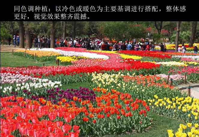 园林花卉学有哪些基础知识,园林花卉学书籍