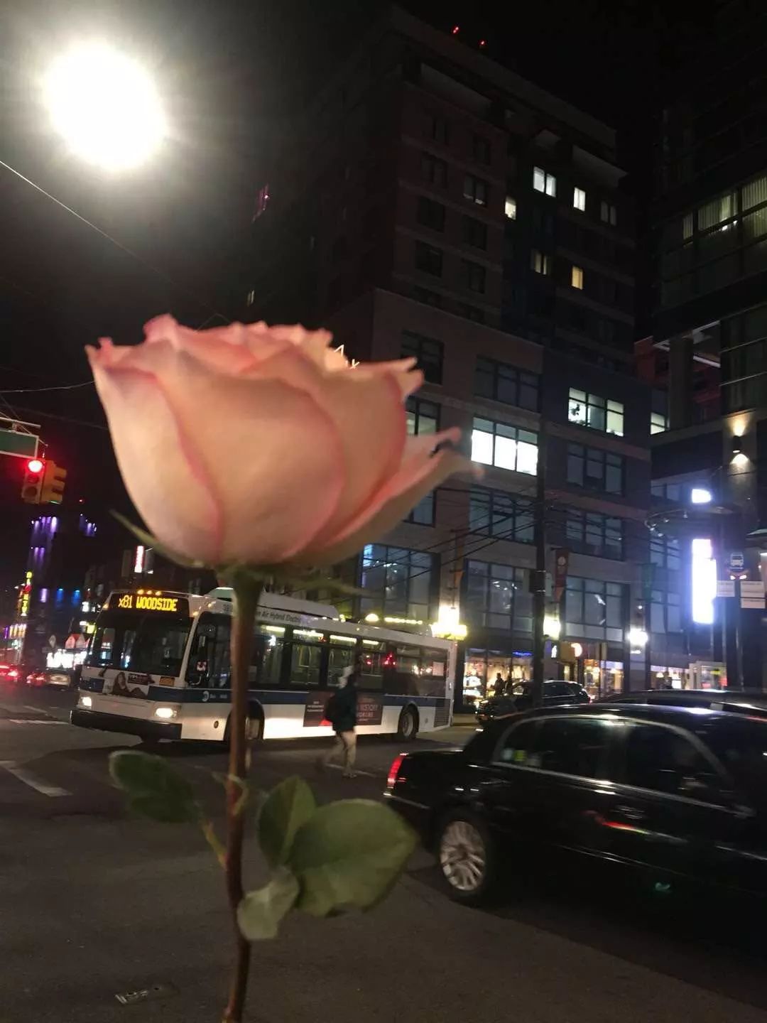 了解美国纽约,美国纽约城市全景