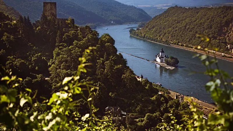 德国葡萄酒怎么选择,德国葡萄酒好吗