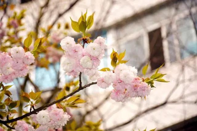 那些令人惊艳绝伦的情书,6行最惊艳的情书