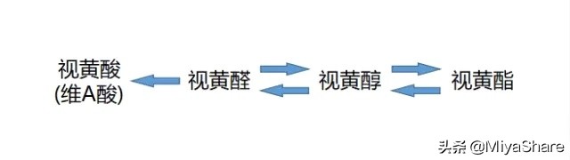 这4个王牌成分够你用一辈子！抗衰美白控油样样行，适合所有肤质