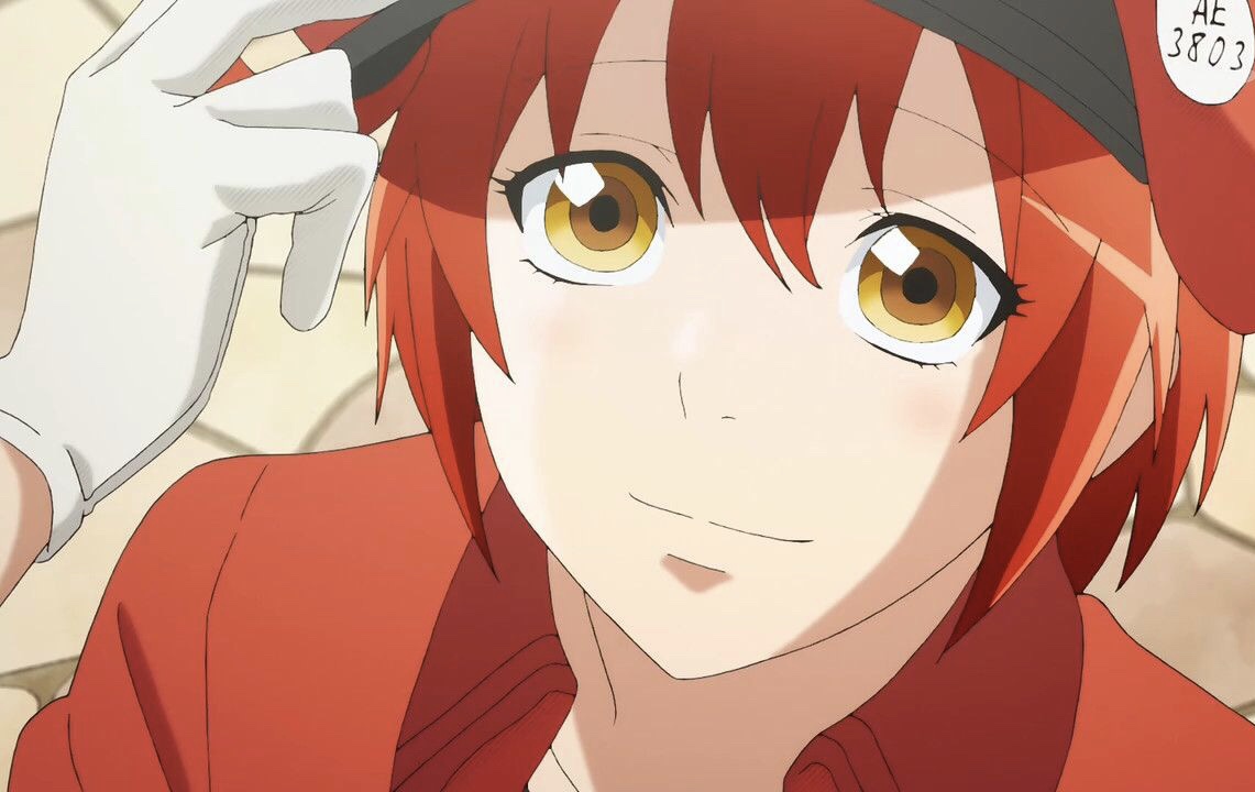 猫咪贫血吃补血肝精多久能好,猫咪有贫血和肾衰能治好吗