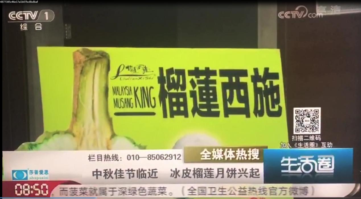 榴莲西施食品,榴莲西施冷冻榴莲果肉多少钱