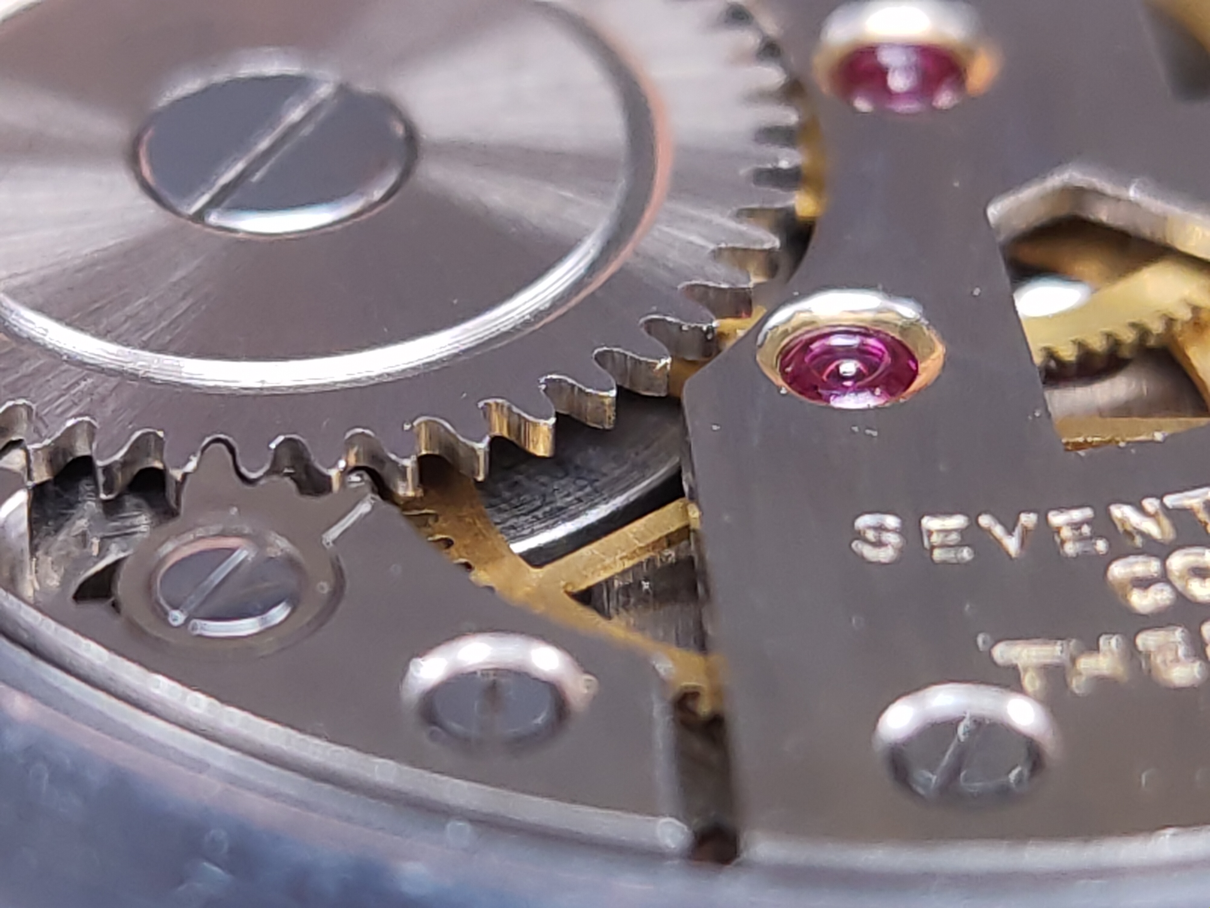 因为一条鱼爱上一个人,因一条鱼丢了一条命