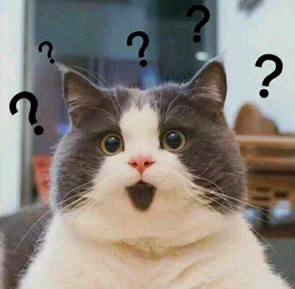 有毒假牛奶,毒牛奶是真是假