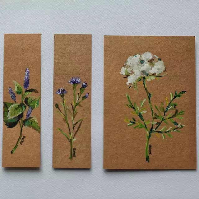 做一些无用的事。手把手教你画几朵花，够你打发一下午时间