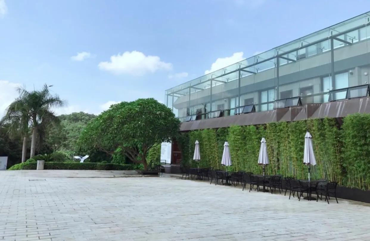 深圳暑假推荐地方,深圳适合高中生参观的地方