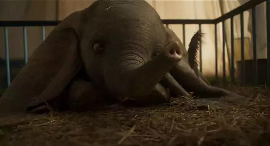 小飞象伊娃格林高清壁纸,小飞象伊娃格林