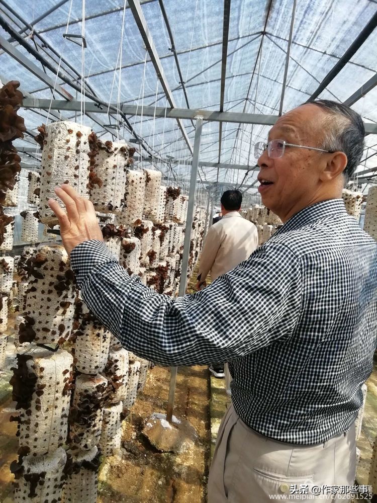 赴一场槐花的邀约——宝鸡作家赴扶风野河山采风