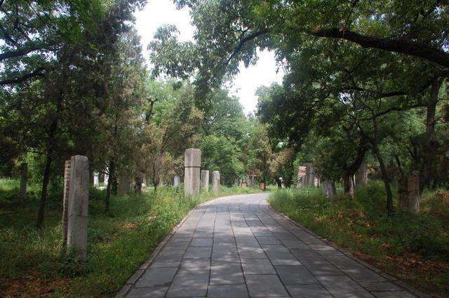 孔林是最大的氏族墓地吗,孔林各个时代的墓葬