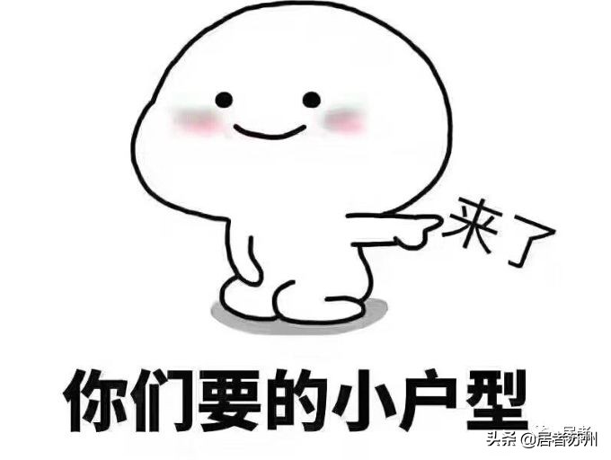 求别吹！这里是苏州目前唯一值得买的洼地！再吹，就买不起了……