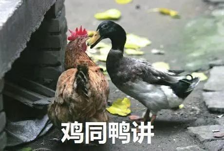 说外国人foreigner不礼貌吗,为什么外国人不能叫foreigner