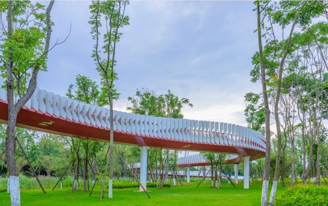 成都哪里的绿道最好,成都绿道最好的地方