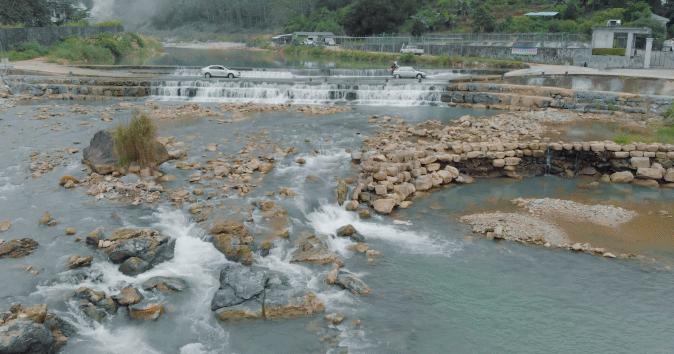 超有鸡味的阳山鸡,广东阳山鸡口感如何