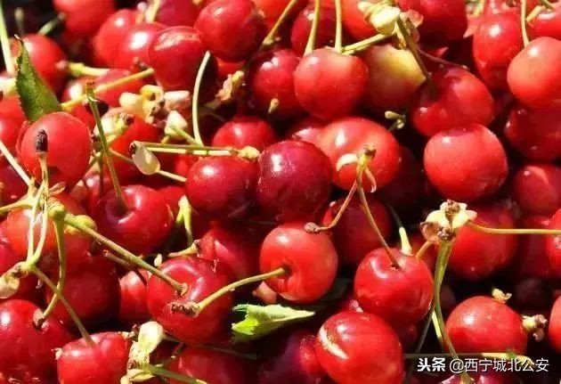 王府井百货造谣事件,王府井内幕交易被通报新闻