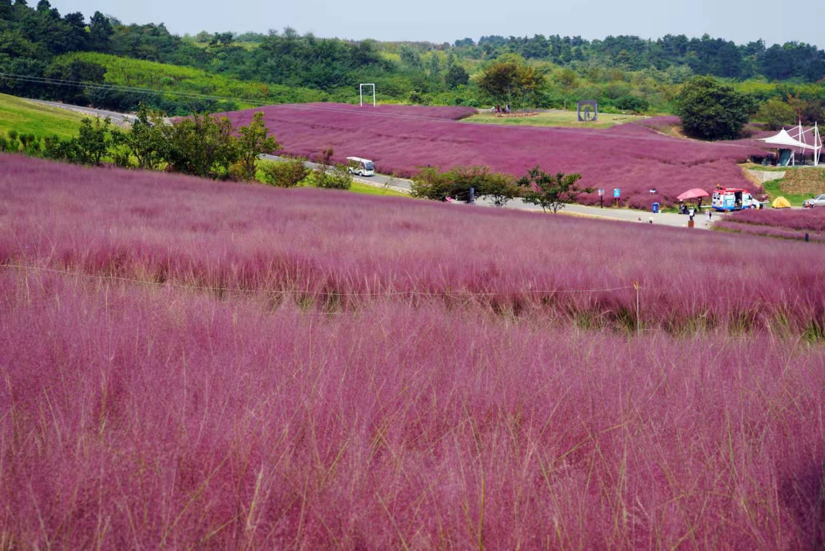 这些字您认识几个,这些字你能认识几个