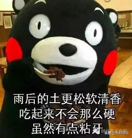 高收益的理财是不是好的理财方案,高安全高收益的理财方法