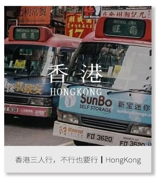 恋恋丽贝岛，人狗情未了|KohLipe