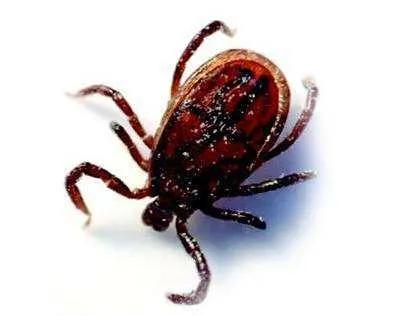 13岁女生呼吸不上来怎么回事,孩子突然眼睛肿呼吸困难