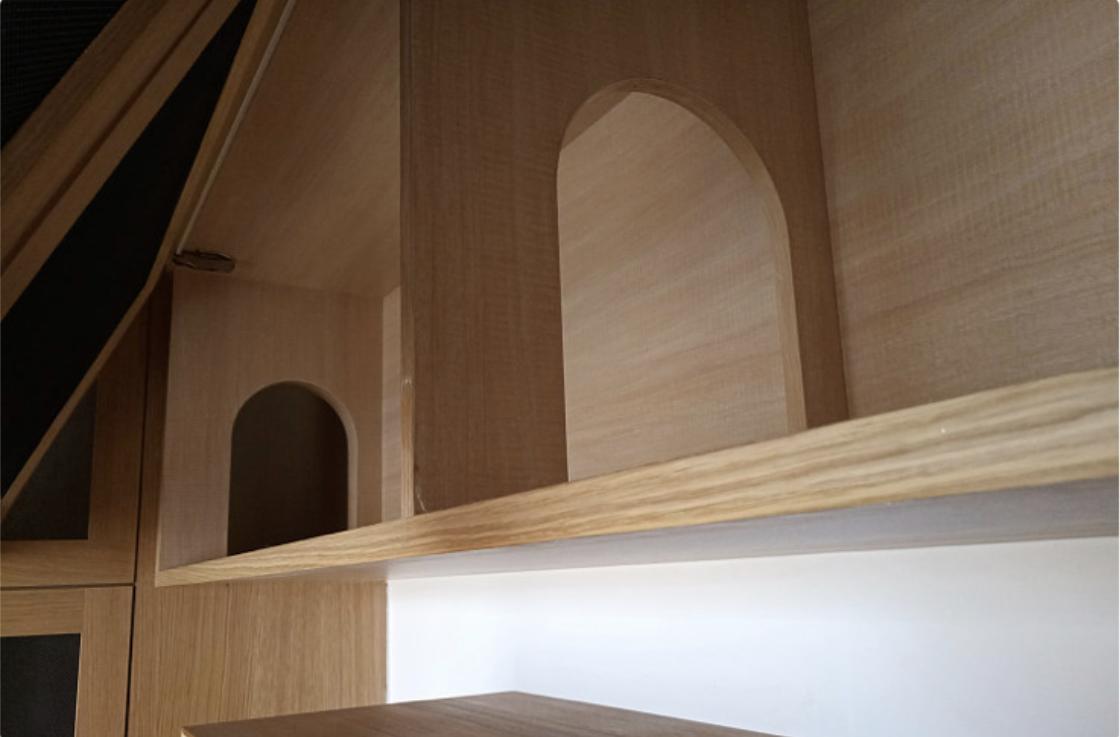 年轻人一人一猫的独居生活,一屋一人一猫的生活视频