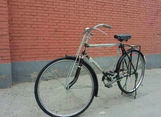 变废为宝自行车作品,变废为宝老车