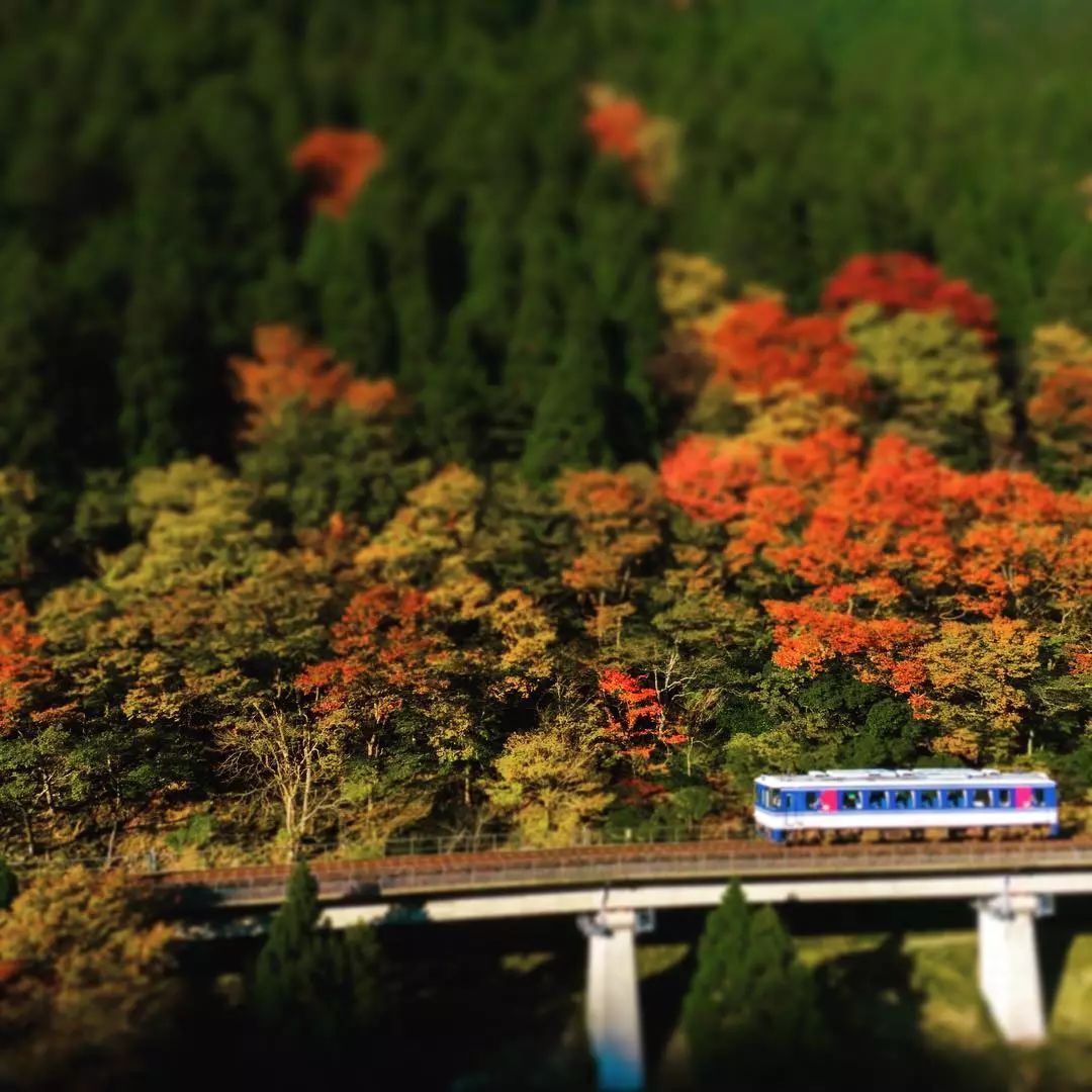 停车坐爱枫林晚，感受火红的秋