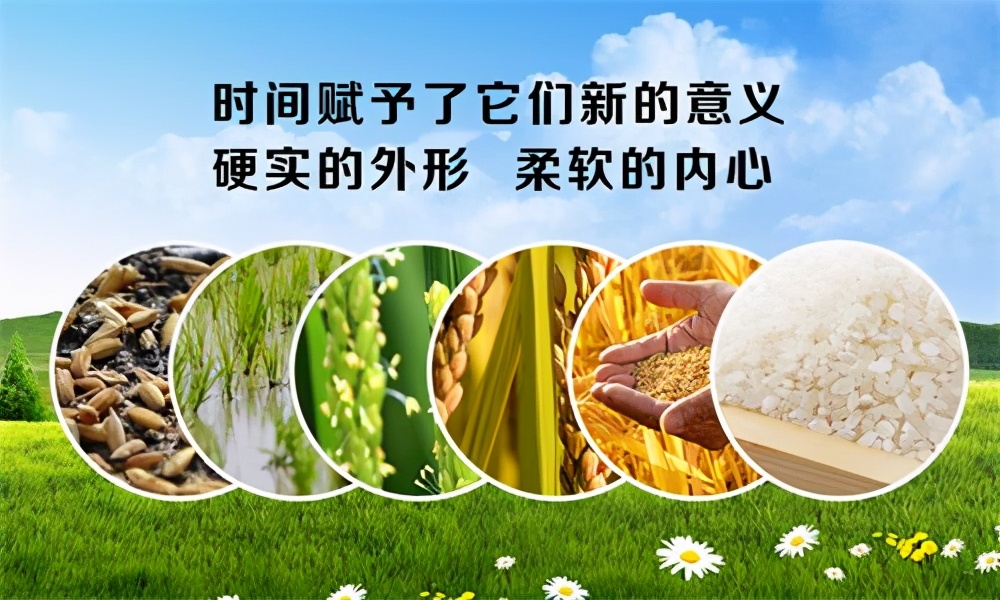 开一家粮油店的资质,开一家粮油店在哪里