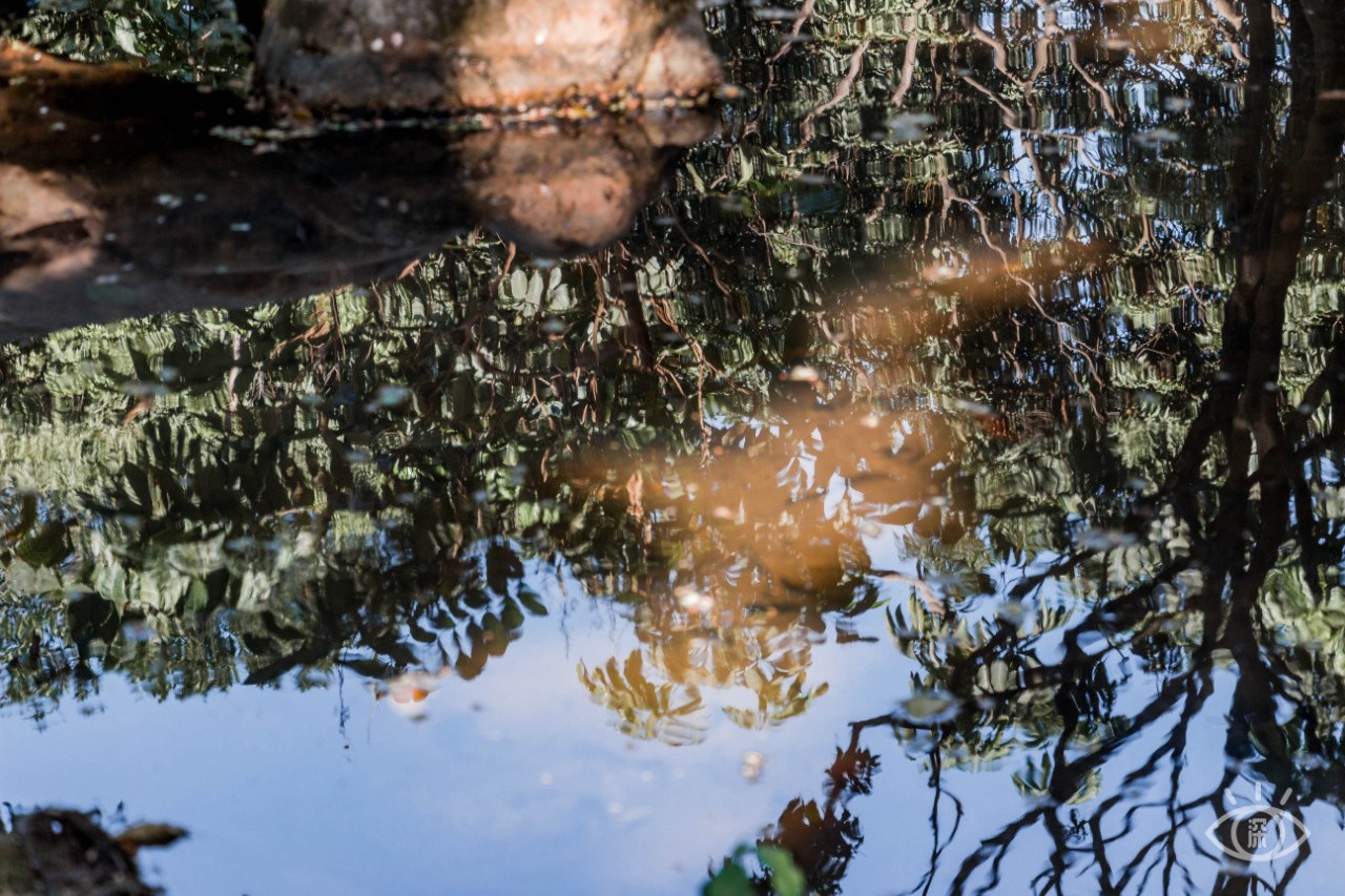 深圳十大顶级公园,深圳市十大风景公园排名