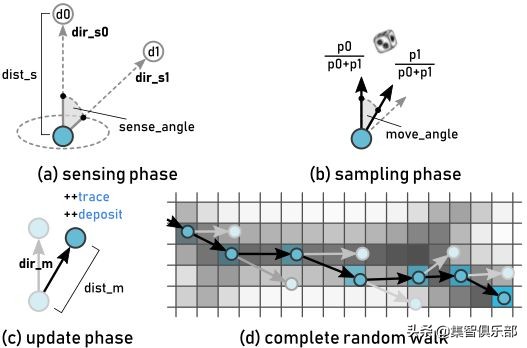 黏菌大作战：预测星系间暗物质网络的黏菌算法