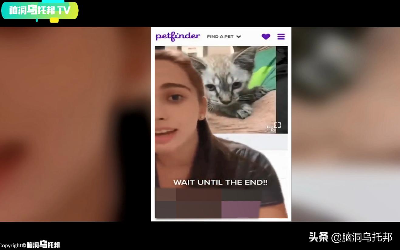 一款不该*载下**的超邪门手机APP,用意念连接现实后玩家有惊人发现