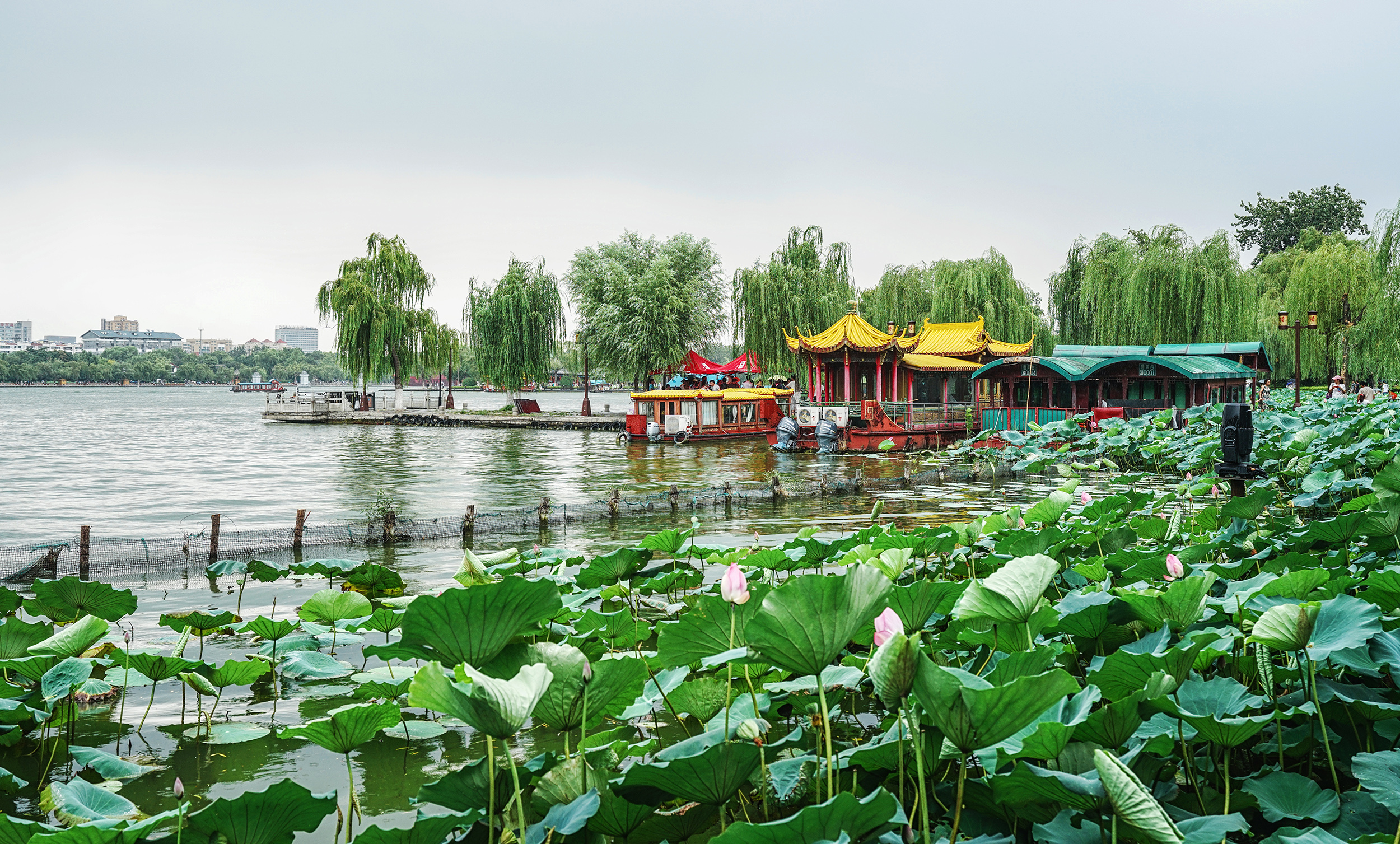 游玩济南景点该怎么走,这份泉城济南的旅游攻略请查收