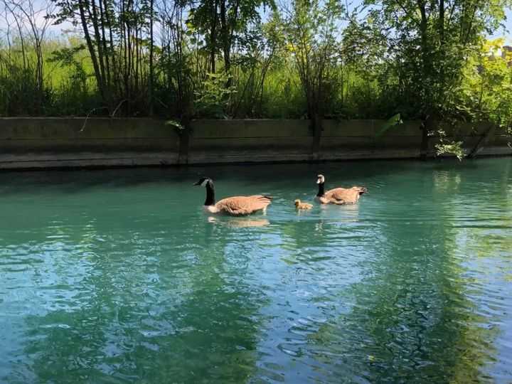 城区绿肺，WoodberryDown高性价比一居室分享