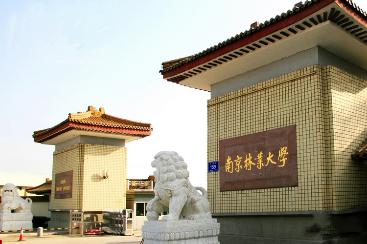 高能促就业！南京高校辅导员，借鉴直播带货，向企业推荐毕业生！