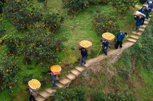 拼多多618爆发有多夸张,拼多多618数据趋势