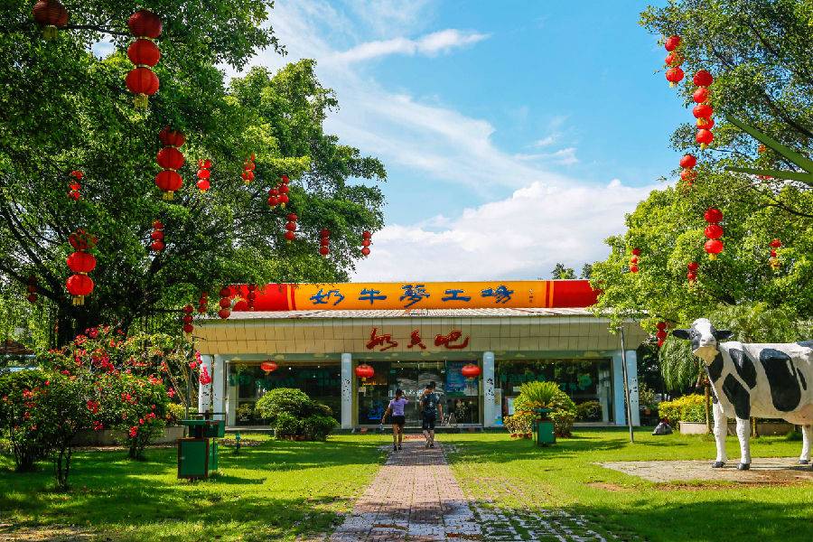 世界花卉大观园遛娃好去处,大观园遛娃攻略