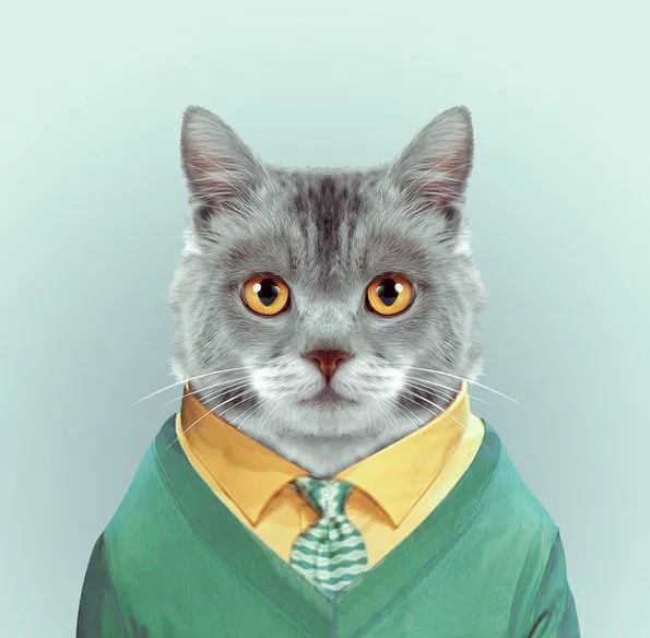 自考和成考的含金量哪个高些,成考和网络教育哪个含金量高