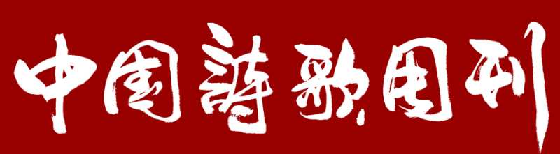 中国诗歌周刊第101期,中国诗歌周刊194期