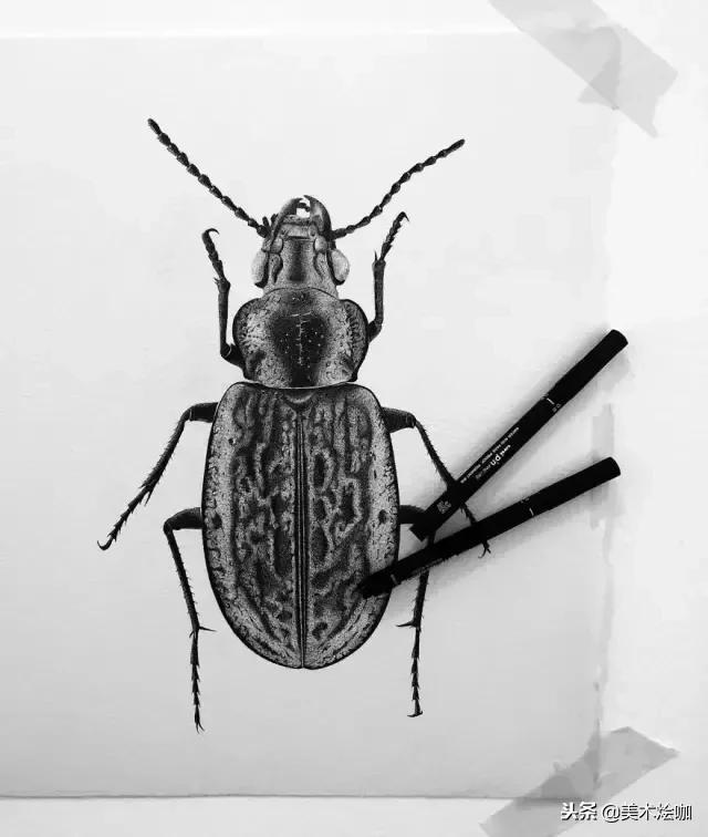 用1支针管笔点画了200小时，结果很惊人