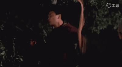 家有喜事1992珍贵视频,家有喜事1997一口气看完